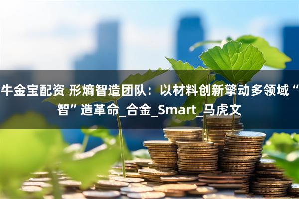 牛金宝配资 形熵智造团队：以材料创新擎动多领域“智”造革命_合金_Smart_马虎文